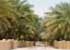 Where to stay in Al-Ain