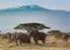 Where to stay in Amboseli-National-Park