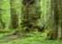 Where to stay in Bialowieza-Forest
