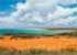Where to stay in Broome