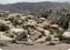 Where to stay in Dana-Nature-Reserve