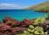 Where to stay in Galapagos