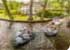 Where to stay in Giethoorn