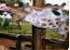 Where to stay in Giraffe-Centre