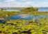 Where to stay in Ibera Wetlands