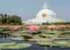Where to stay in Lumbini