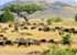 Where to stay in Masai-Mara