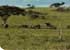 Where to stay in Murchison