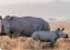 Where to stay in Ol-Pejeta