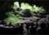 Where to stay in Río-Camuy-Cave-Park