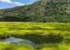Where to stay in Semuliki-National-Park