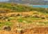 Where to stay in Tipaza