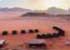 Where to stay in Wadi-Rum