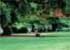 Where to stay in Botanic Gardens