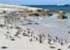 Where to stay and sightseeing in Boulders-Beach, South Africa