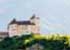 Where to stay and sightseeing in Burg-Gutenberg, Liechtenstein