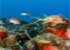 Where to stay in Champagne Reef