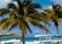 Where to stay in Grand Bahama