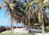 Where to stay in Gelée Beach