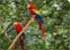 Where to stay and sightseeing in , Honduras