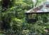 Where to stay and sightseeing in Jardin-botanique, Guinea