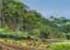 Where to stay and sightseeing in Jardin-de-Balata, Martinique