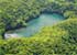 Where to stay and sightseeing in Jellyfish-Lake, Palau
