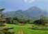 Where to stay and sightseeing in Kirstenbosch, South Africa