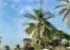 Where to stay and sightseeing in Kololi, Gambia