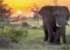 Where to stay and sightseeing in Kruger, South Africa
