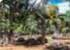 Where to stay and sightseeing in La-Vanille, Mauritius