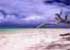 Where to stay and sightseeing in Laura-Beach, Marshall Islands