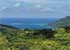 Where to stay and sightseeing in Lycée-Agricole-Opunohu, French Polynesia