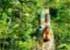 Where to stay and sightseeing in Mayan-Eden, Honduras