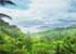 Where to stay and sightseeing in Morne-Seychellois, Seychelles