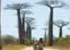 Where to stay and sightseeing in Morondava, Madagascar