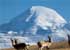 Where to stay and sightseeing in Mount-Kailash, Tibet