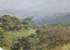 Where to stay and sightseeing in Mount-Nimba, Guinea