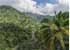 Where to stay and sightseeing in Mt.-Ntingui, Comoros