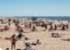 Where to stay and sightseeing in Palanga, Lithuania