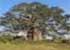 Where to stay and sightseeing in Parque-Nacional, Angola