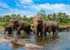 Where to stay and sightseeing in , Sri Lanka
