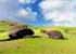 Where to stay and sightseeing in Puna-Pau, Easter Island