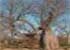 Where to stay and sightseeing in Réserve-de-Bandia, Senegal