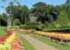 Where to stay and sightseeing in Royal-Botanical-Gardens, Sri Lanka