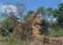 Where to stay and sightseeing in Ruins-of-Loropeni, Burkina Faso