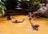 Where to stay in Screw's Sulphur Spa