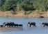 Where to stay and sightseeing in South-Luangwa, Zambia