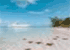 Where to stay in Starfish Point