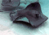 Where to stay in Stingray City